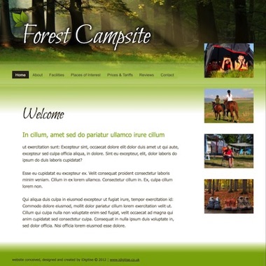 Image of a campimg website designed by iDigitise